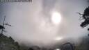 ./images/calvert/fitz-hugh-hecate/20250803/fitz-hugh-hecate20250803_081511M.jpg