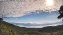 ./images/calvert/fitz-hugh-hecate/20250803/fitz-hugh-hecate20250803_095510M.jpg