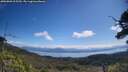 ./images/calvert/fitz-hugh-hecate/20250803/fitz-hugh-hecate20250803_105509M.jpg