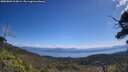 ./images/calvert/fitz-hugh-hecate/20250803/fitz-hugh-hecate20250803_113009M.jpg