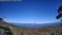 ./images/calvert/fitz-hugh-hecate/20250803/fitz-hugh-hecate20250803_165011M.jpg