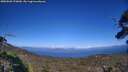 ./images/calvert/fitz-hugh-hecate/20250803/fitz-hugh-hecate20250803_170010M.jpg