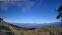 ./images/calvert/fitz-hugh-hecate/20250803/fitz-hugh-hecate20250803_174508M.jpg