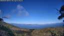 ./images/calvert/fitz-hugh-hecate/20250803/fitz-hugh-hecate20250803_180509M.jpg