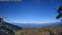 ./images/calvert/fitz-hugh-hecate/20250803/fitz-hugh-hecate20250803_182509M.jpg