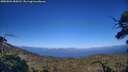 ./images/calvert/fitz-hugh-hecate/20250803/fitz-hugh-hecate20250803_184511M.jpg
