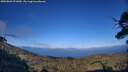 ./images/calvert/fitz-hugh-hecate/20250803/fitz-hugh-hecate20250803_191010M.jpg