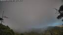 ./images/calvert/fitz-hugh-hecate/20250803/fitz-hugh-hecate20250803_192508M.jpg