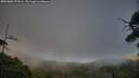 ./images/calvert/fitz-hugh-hecate/20250803/fitz-hugh-hecate20250803_193505M.jpg