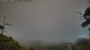./images/calvert/fitz-hugh-hecate/20250803/fitz-hugh-hecate20250803_194008M.jpg