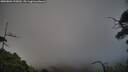 ./images/calvert/fitz-hugh-hecate/20250803/fitz-hugh-hecate20250803_195009M.jpg