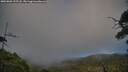 ./images/calvert/fitz-hugh-hecate/20250803/fitz-hugh-hecate20250803_195508M.jpg
