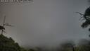 ./images/calvert/fitz-hugh-hecate/20250803/fitz-hugh-hecate20250803_200008M.jpg
