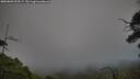 ./images/calvert/fitz-hugh-hecate/20250803/fitz-hugh-hecate20250803_200509M.jpg