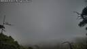 ./images/calvert/fitz-hugh-hecate/20250803/fitz-hugh-hecate20250803_201008M.jpg