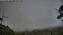 ./images/calvert/fitz-hugh-hecate/20250803/fitz-hugh-hecate20250803_204007M.jpg