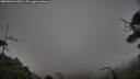 ./images/calvert/fitz-hugh-hecate/20250803/fitz-hugh-hecate20250803_210009M.jpg