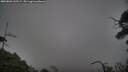 ./images/calvert/fitz-hugh-hecate/20250803/fitz-hugh-hecate20250803_210509M.jpg