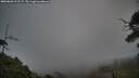 ./images/calvert/fitz-hugh-hecate/20250803/fitz-hugh-hecate20250803_211507M.jpg