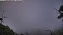 ./images/calvert/fitz-hugh-hecate/20250803/fitz-hugh-hecate20250803_212508M.jpg