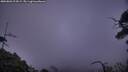./images/calvert/fitz-hugh-hecate/20250803/fitz-hugh-hecate20250803_213009M.jpg