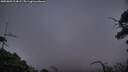 ./images/calvert/fitz-hugh-hecate/20250803/fitz-hugh-hecate20250803_214008M.jpg