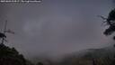 ./images/calvert/fitz-hugh-hecate/20250803/fitz-hugh-hecate20250803_214507M.jpg