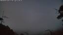 ./images/calvert/fitz-hugh-hecate/20250803/fitz-hugh-hecate20250803_215509M.jpg