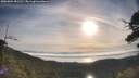 ./images/calvert/fitz-hugh-hecate/20250804/fitz-hugh-hecate20250804_081510M.jpg