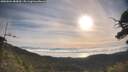 ./images/calvert/fitz-hugh-hecate/20250804/fitz-hugh-hecate20250804_083010M.jpg