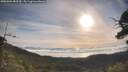 ./images/calvert/fitz-hugh-hecate/20250804/fitz-hugh-hecate20250804_083510M.jpg