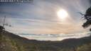 ./images/calvert/fitz-hugh-hecate/20250804/fitz-hugh-hecate20250804_084009M.jpg