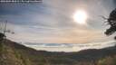 ./images/calvert/fitz-hugh-hecate/20250804/fitz-hugh-hecate20250804_084511M.jpg