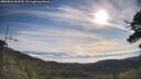 ./images/calvert/fitz-hugh-hecate/20250804/fitz-hugh-hecate20250804_090510M.jpg