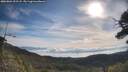./images/calvert/fitz-hugh-hecate/20250804/fitz-hugh-hecate20250804_092508M.jpg
