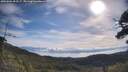 ./images/calvert/fitz-hugh-hecate/20250804/fitz-hugh-hecate20250804_093507M.jpg