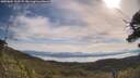 ./images/calvert/fitz-hugh-hecate/20250804/fitz-hugh-hecate20250804_100509M.jpg