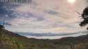 ./images/calvert/fitz-hugh-hecate/20250804/fitz-hugh-hecate20250804_101510M.jpg