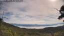 ./images/calvert/fitz-hugh-hecate/20250804/fitz-hugh-hecate20250804_103011M.jpg
