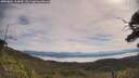 ./images/calvert/fitz-hugh-hecate/20250804/fitz-hugh-hecate20250804_104010M.jpg