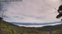 ./images/calvert/fitz-hugh-hecate/20250804/fitz-hugh-hecate20250804_105010M.jpg