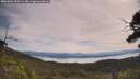 ./images/calvert/fitz-hugh-hecate/20250804/fitz-hugh-hecate20250804_105509M.jpg