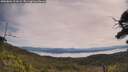 ./images/calvert/fitz-hugh-hecate/20250804/fitz-hugh-hecate20250804_111008M.jpg
