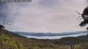 ./images/calvert/fitz-hugh-hecate/20250804/fitz-hugh-hecate20250804_111511M.jpg