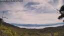 ./images/calvert/fitz-hugh-hecate/20250804/fitz-hugh-hecate20250804_113510M.jpg