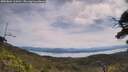 ./images/calvert/fitz-hugh-hecate/20250804/fitz-hugh-hecate20250804_114511M.jpg