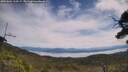 ./images/calvert/fitz-hugh-hecate/20250804/fitz-hugh-hecate20250804_115509M.jpg