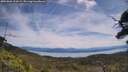 ./images/calvert/fitz-hugh-hecate/20250804/fitz-hugh-hecate20250804_122008M.jpg