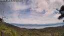 ./images/calvert/fitz-hugh-hecate/20250804/fitz-hugh-hecate20250804_124010M.jpg