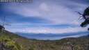 ./images/calvert/fitz-hugh-hecate/20250804/fitz-hugh-hecate20250804_141508M.jpg
